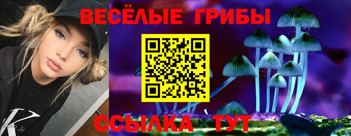 Камышлов  Псилоцибиновые грибы ЛСД  Вход с VPN  Галлюциногенные грибы GOLDEN TEACHER 